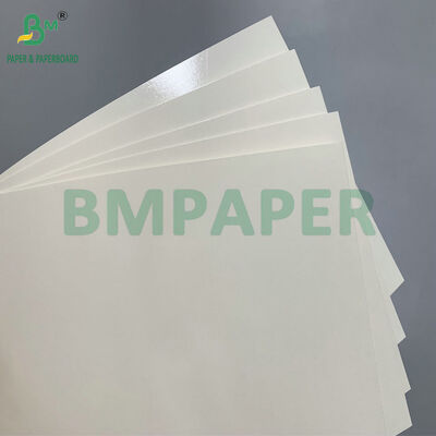 250g 280g Lunch Box 를 만들기 위한 PET 코팅 기름 막 식품용 종이