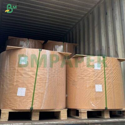 40gm 다채로운 식품 등급 컵케이크 베이킹 종이 롤