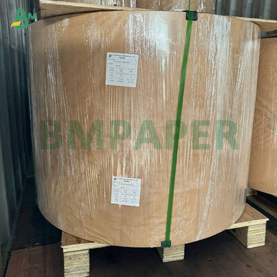 기름 방지 흰색 커피 노란색 녹색 컵케이크 라이너 머핀 베이킹 용지