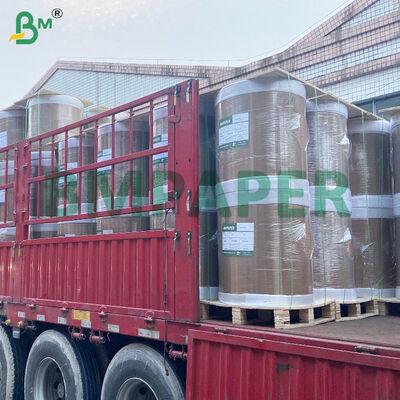 ECR / 영수증 용지 기반 감열지 부모 롤 (코팅 포함)