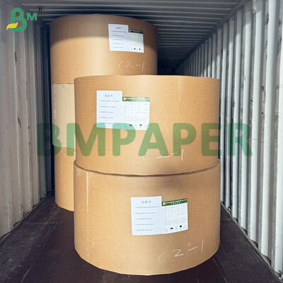 PET 코팅 식사 접시 종이 재질 흰색 음식 트레이 종이