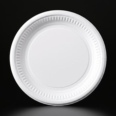 PET 코팅 식사 접시 종이 재질 흰색 음식 트레이 종이