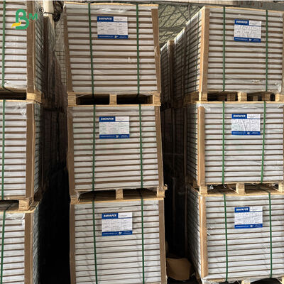 한쪽 고 광택 찢기 저항성 습기 강성 라벨 종이