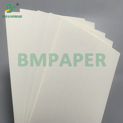 생분해 가능 및 마이크로 웨브 안전 종이판 샐러드용 일회용 그릇 제조