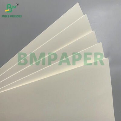 생분해 가능 및 마이크로 웨브 안전 종이판 샐러드용 일회용 그릇 제조