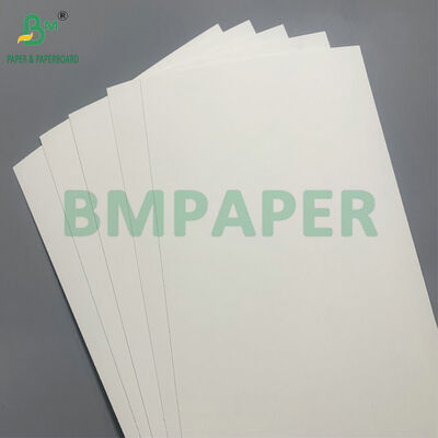 생분해 가능 및 마이크로 웨브 안전 종이판 샐러드용 일회용 그릇 제조