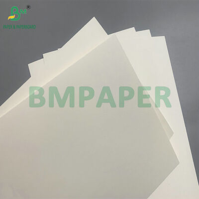 생분해 가능 및 마이크로 웨브 안전 종이판 샐러드용 일회용 그릇 제조