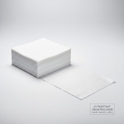 자외선 내성 포도 망고 사과 재배 봉지 종이 내부 계층 라인