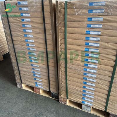 250gsm 300gsm 350gsm 400gsm 밝은 흰색 무광 본드지 브리스톨 보드