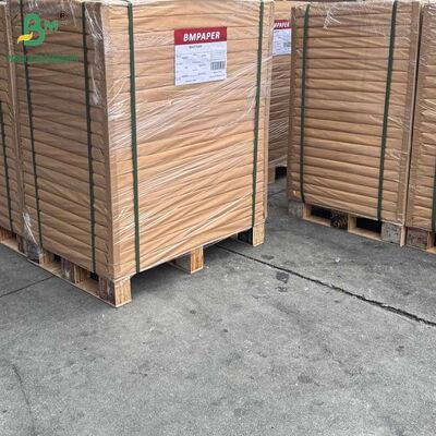 250gsm 300gsm 350gsm 400gsm 밝은 흰색 무광 본드지 브리스톨 보드