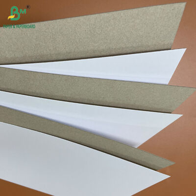 250gsm 300gsm 350gsm 400gsm 냉동 식품 포장용 CCNB 카튼 보드