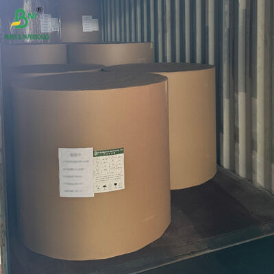 250gsm 300gsm 350gsm 400gsm 냉동 식품 포장용 CCNB 카튼 보드