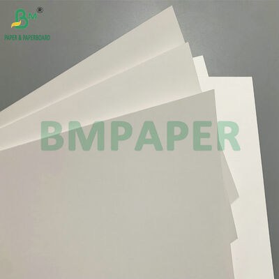 Printable Both Sides 250g 350g Rigid White Blister Card for Heat Seal Packaging for Tools Electronics