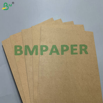 지방 및 누출 방지 PE PP 코팅 300gm330gsm식품 컨테이너 포지션