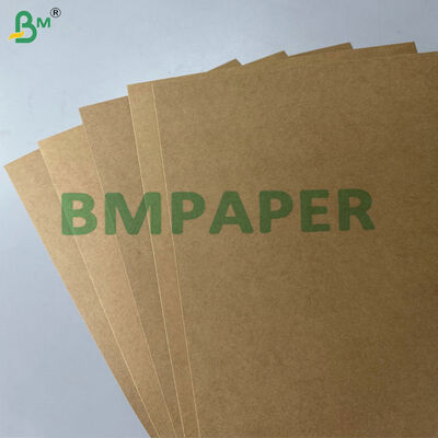 지방 및 누출 방지 PE PP 코팅 300gm330gsm식품 컨테이너 포지션