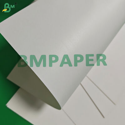 170gm 190gm 물 기반 단일 코팅 된 컵 스톡 종이 콤포스타블 650mm