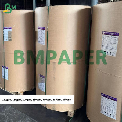 행택용 250gsm 300gsm 백색 크라프트지 점보롤, 거친 표면