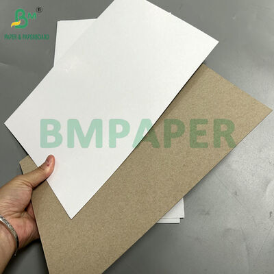 250gsm 300gsm 클레이 코팅 듀플렉스 보드 그레이 백 포장용 27.25x28인치