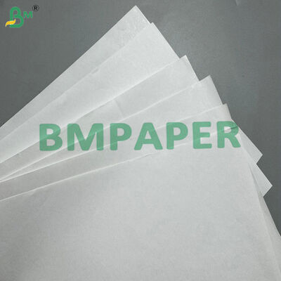 Eco & Top Grade 70 GSM Direct Thermal Facestock Paper Self-Adhesive Label Paper for Barcodes Shipping & Retail