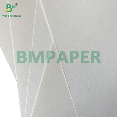 250gsm 300gsm 350gsm Sugarcane Bagasse Paper for Lunch Box Eco Packaging