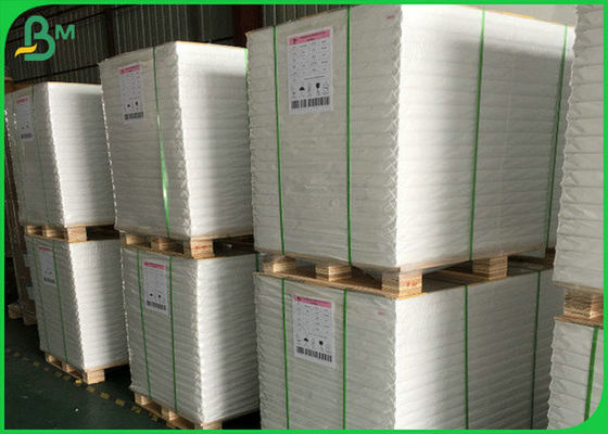 300GSM FSC SGS 100% 자연적인 펄프 물자를 가진 백색 광택 있는 아트지 권선