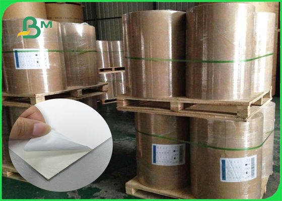 FSA 100%년 Vigrin 펄프 셀루로스 백색 색깔 마분지 높은 부피 1.0mm 2mm