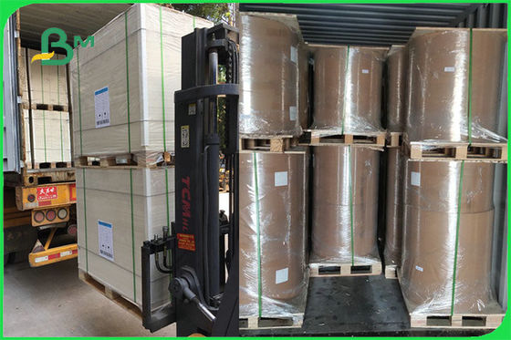 FSC FDA 300gsm 상아는 1개의 측 서류상 그릇을 위한 백보드 PE GC1 종이를 입혔습니다