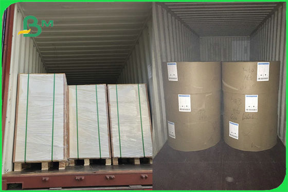 FSC FDA 관례를 만드는 컵을 위한 백색 음식 안전한 FBB 널 15g PE 광택지