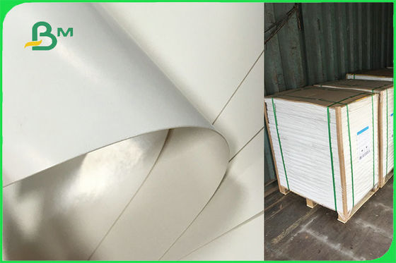 찬성되는 처분할 수 있는 판 FSC FDA를 위한 주문을 받아서 만들어진 단 하나 옆 PE 광택지