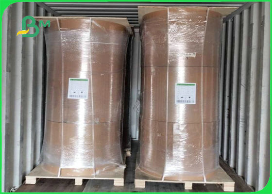 식품 포장을 위한 미생물에 의해 분해된 300gsm + 15g 폴리에틸렌필름 크라프트 판지