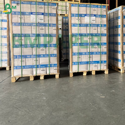 높은 민감도 A4형, 글자 크기 탄소 없는 기본 종이 CB CFB CF 별도로 포장