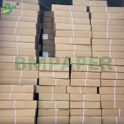80gsm CAD 플로터 종이 롤 2